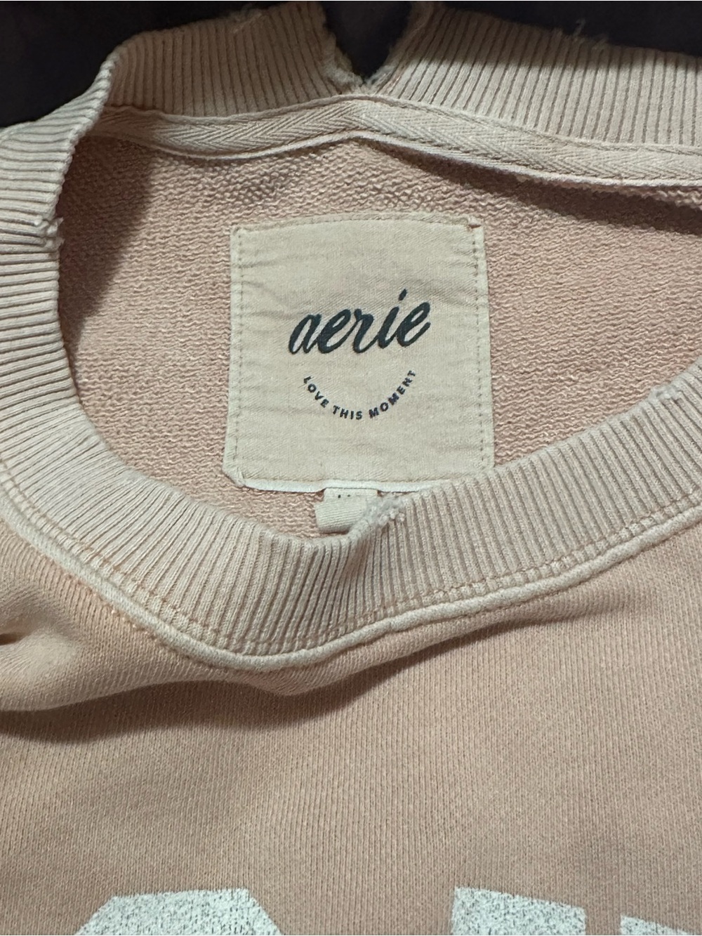 aerie Peach Crewneck with SOHO Academy Graphic - Picture 3 of 3